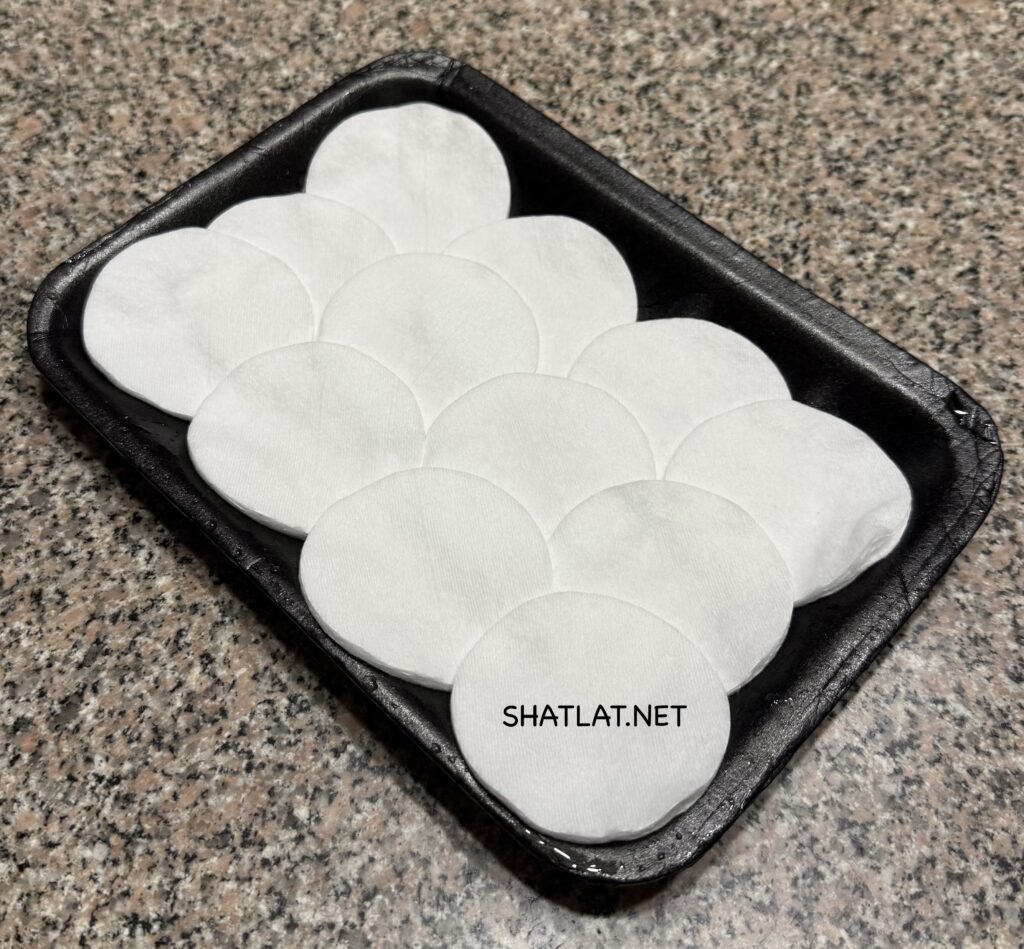 الخطوة الأولى: وضع القطن في الطبق