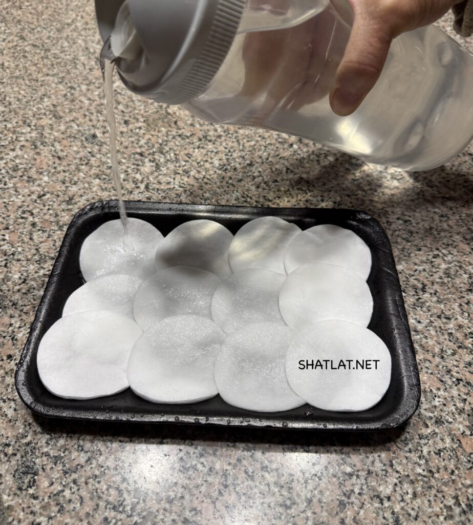 الخطوة الثانية: ترطيب القطن بالماء