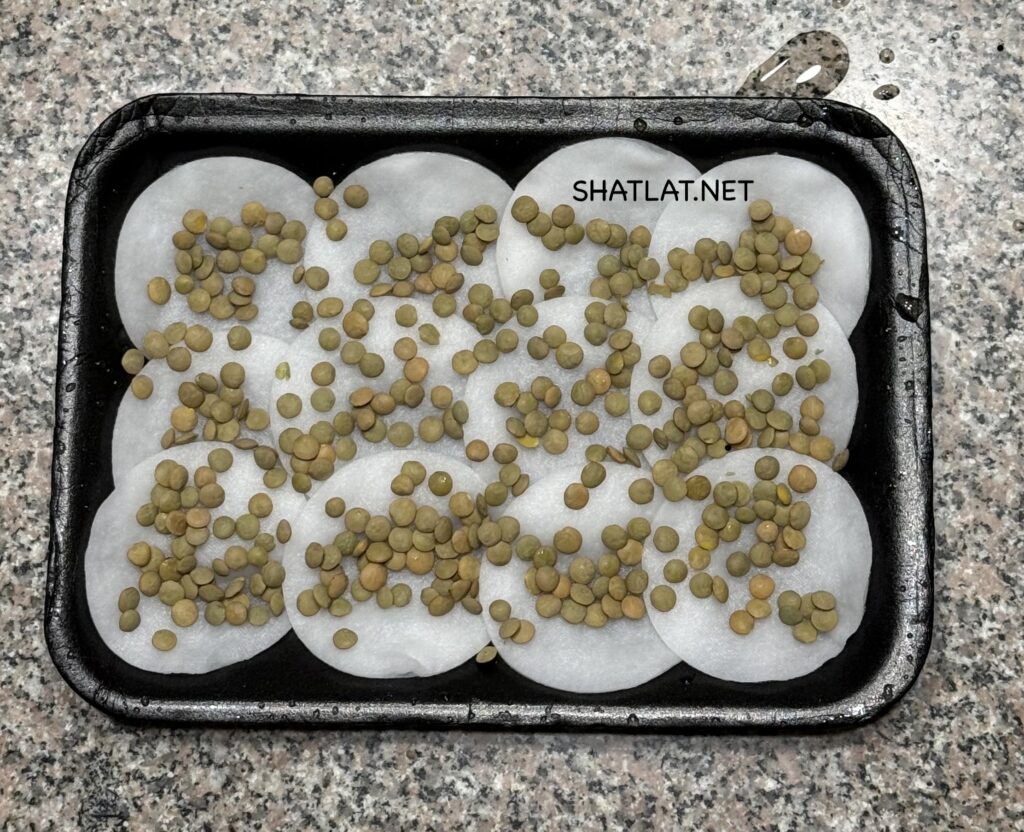 الخطوة الثالثة: توزيع حبات العدس