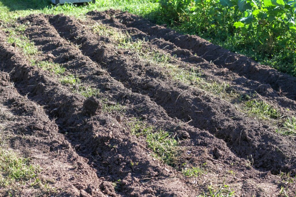 تربة للزراعة