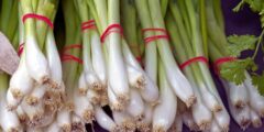 كيف نزرع البصل الاخضر في المنزل بالخطوات