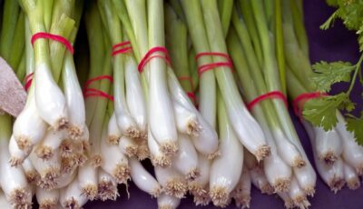 كيف نزرع البصل الاخضر في المنزل بالخطوات