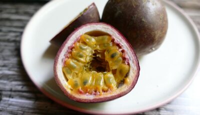 طريقة زراعة المس فلورا في المنزل وإنجاح النبتة