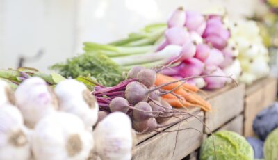 أفضل ٥ خضراوات للزراعة المنزلية والمبتدئين